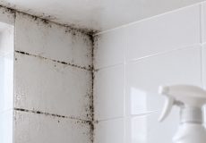 کپک سیاه روی گوشه دیوار و کاشی حمام در کنار بخش تمیز